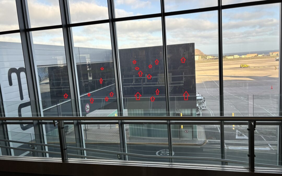 GLASS INSPECTOR & TECNOLOGIA DE IMAGEN REAL » TRUE IMAGE TECHNOLOGY «